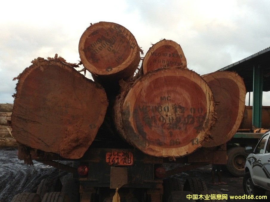 紅花梨的詳細(xì)介紹