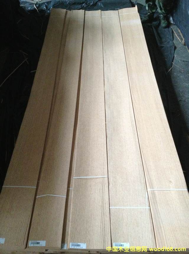 紅橡的詳細(xì)介紹