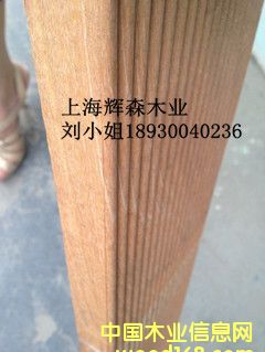 �̈́�1��Ԕ��(x��)��B