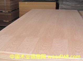 ָ�Ӱ����z�ϰ塢�����z�ϰ塢�����N����Ӱ��Ԕ����B