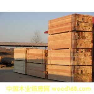 ����ľ����Ԕ��(x��)��B