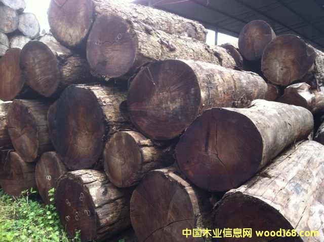 ����t����Ԕ��(x��)��B