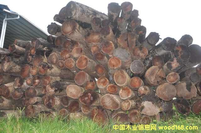 ����t����Ԕ��(x��)��B