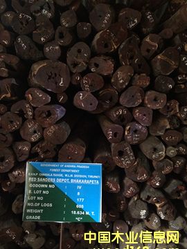 qqС�~��̴��Ԕ����B