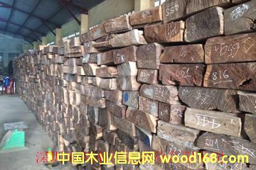 ��t��֦���ϵ�Ԕ����B