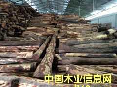 �ϓ��t��֦��Ԕ����B