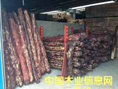 ӡ��С�~��̴��Ԕ����B