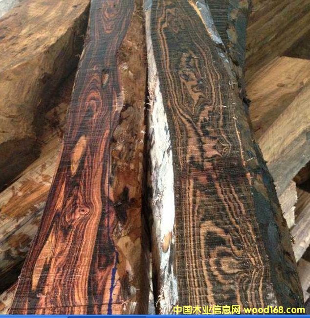 ����(y��ng)�V����(y��u)�|(zh��)����ľ��Ԕ����B