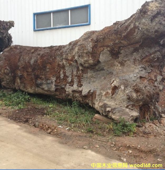 �Ĵ���z�ľ�䘶��Ԕ����B