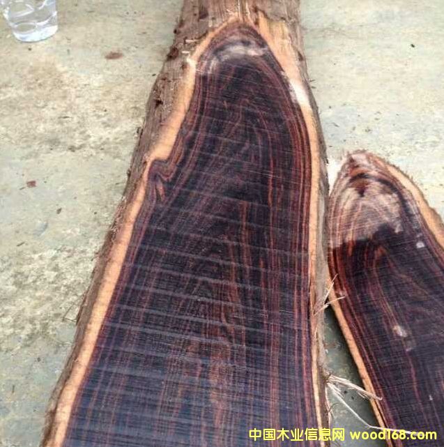 ����(y��ng)�V����(y��u)�|(zh��)����ľ��Ԕ����B