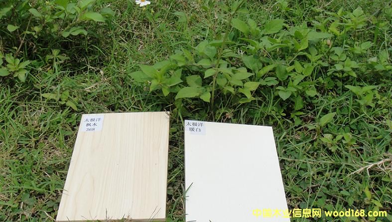 9��Ԕ��(x��)��B