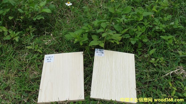 8��Ԕ��(x��)��B