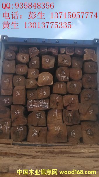 �����棨�����̴����Ԕ��(x��)��B