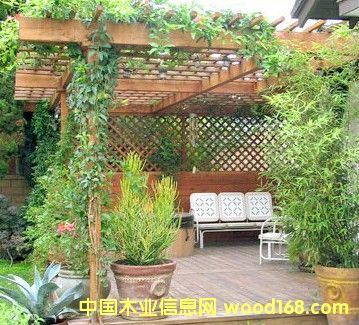 ����ľ��Ԕ��(x��)��B