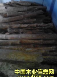 С�~�S���Ԕ����B