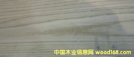 紅橡的詳細(xì)介紹