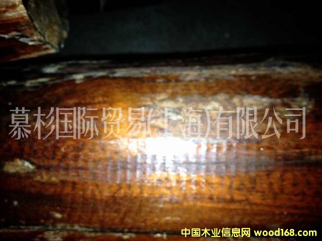 �߼yľ��Ԕ��(x��)��B