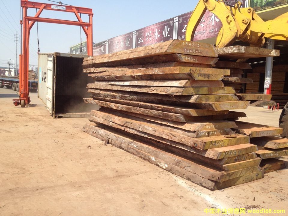 巴花的詳細介紹