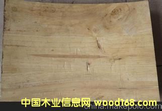 ɼľָ��ľƤ��Ԕ��(x��)��B