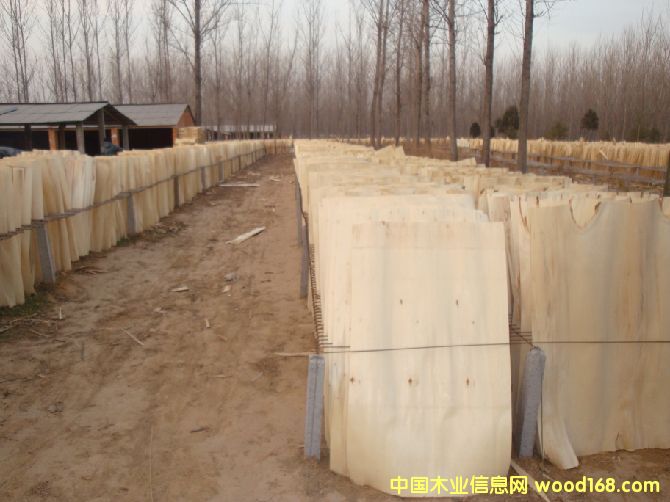 �ΰ��Ԕ��(x��)��B