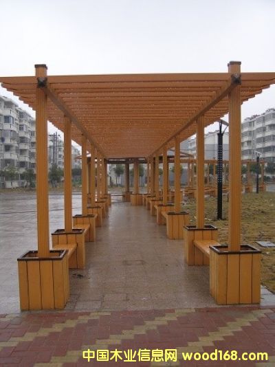 ����ľ�ȼ�