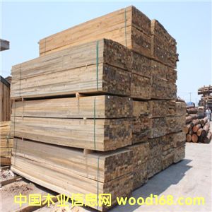 �����ɰ����ľ�� �����ɰ�� �S��ֱ�N ���˴��N��Ԕ��(x��)��B