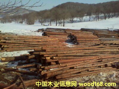 ���~�ɵ�Ԕ����B