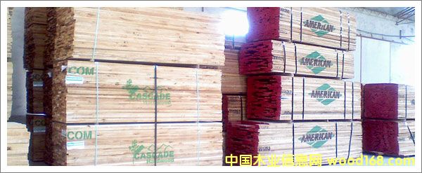 ����ľ��Ԕ����B