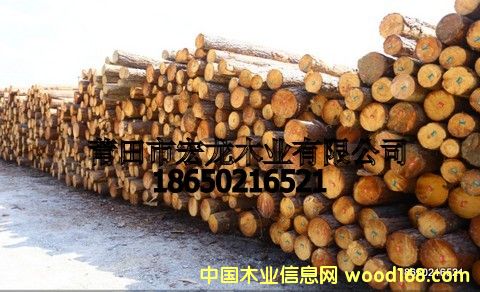 ������ľ��Ԕ��(x��)��B