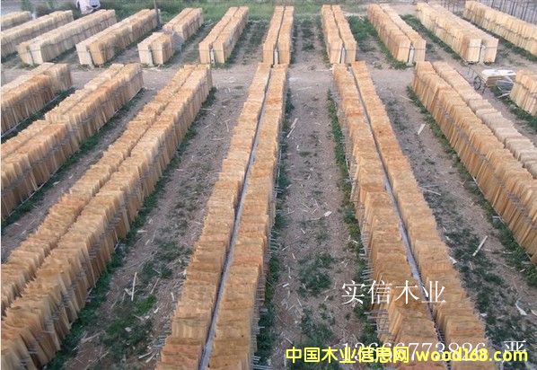 ��ľһ�����Ԕ��(x��)��B