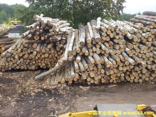 ��ľԭľ��Ԕ��(x��)��B