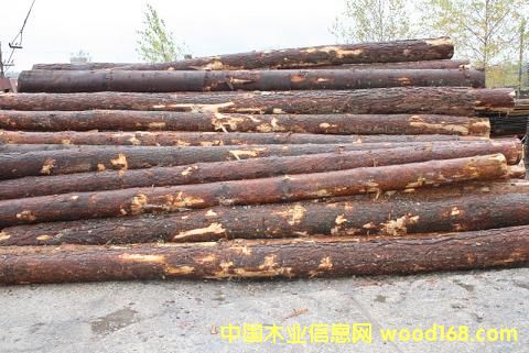 ��ɼС����Ԕ��(x��)��B