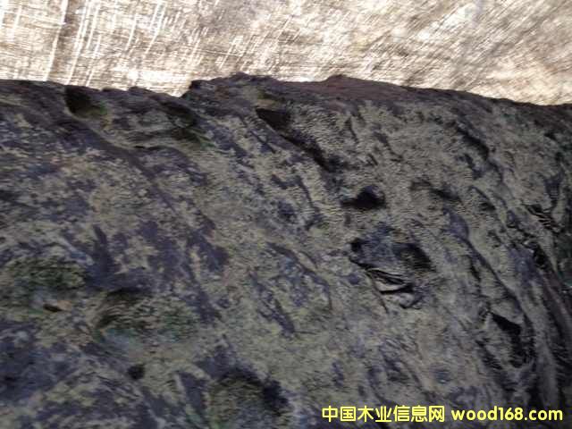 ��z骴��ľ�Ԓ18080614805