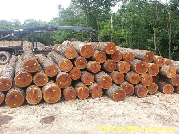 ����(gu��)����ľԭľ��Ԕ��(x��)��B