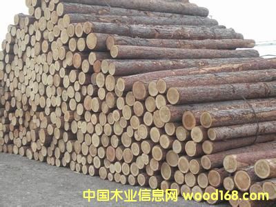 ���~��ԭľ��Ԕ��(x��)��B