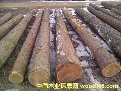 ���~��ԭľ��Ԕ��(x��)��B