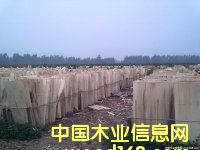 ��ľо���Ԕ��(x��)��B