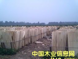 ��ľ�Aо��Ԕ��(x��)��B