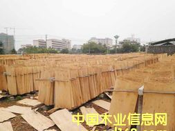 ��ľ�Aо��Ԕ��(x��)��B