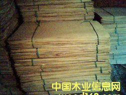 ��ľ�Aо��Ԕ��(x��)��B