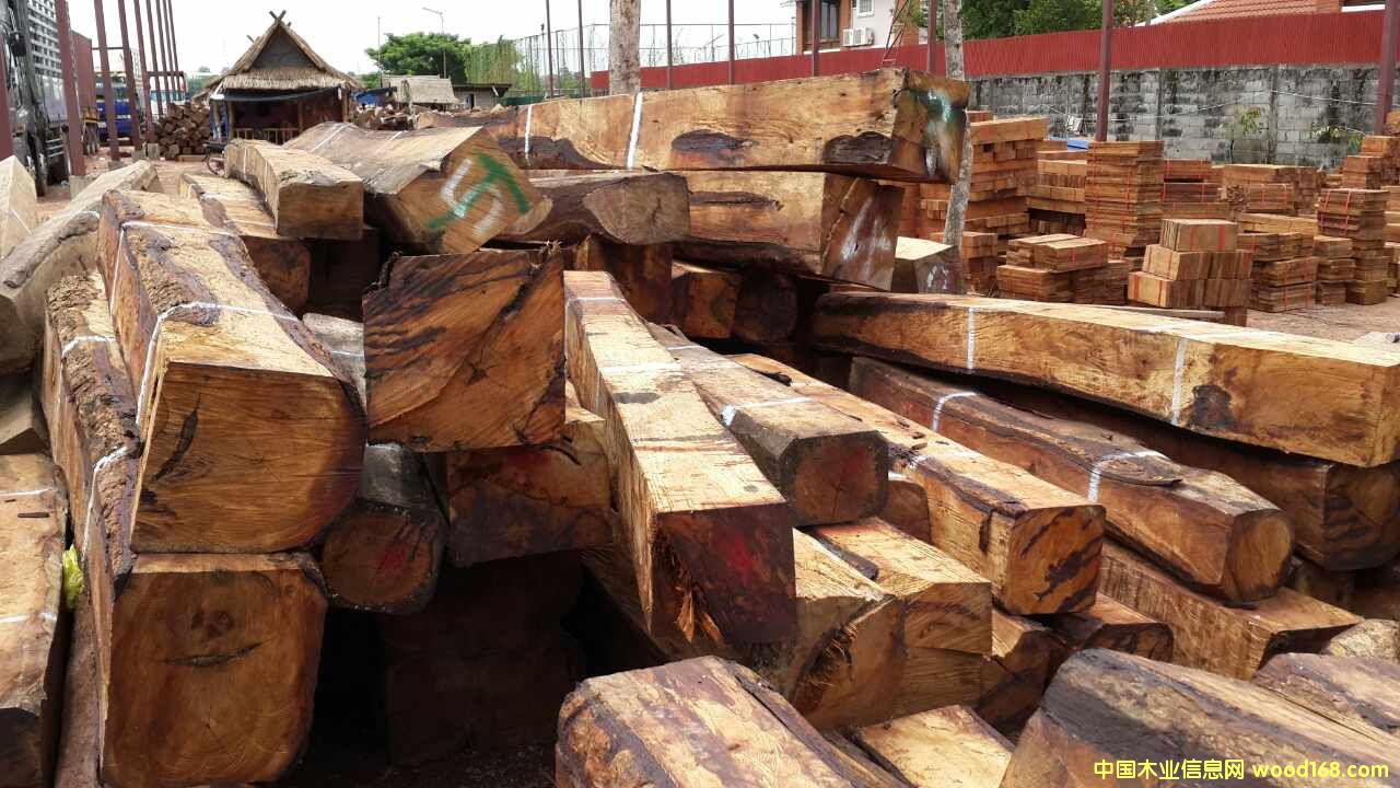 �L�ڹ���(y��ng)�ϓ뻨�棨�����̴����Ԕ��(x��)��B