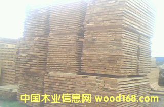 ���ľ��ɰ�