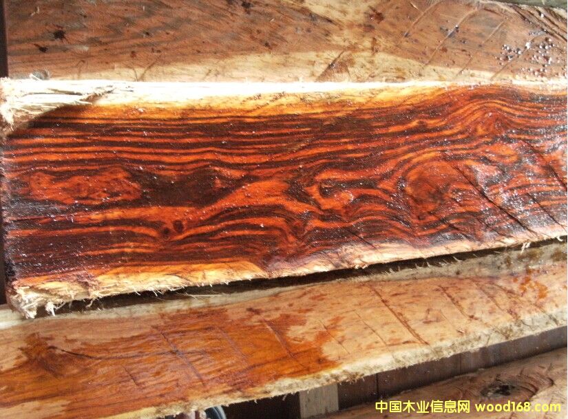 ���~�S�����Ԕ��(x��)��B