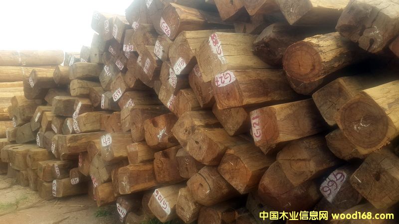 ������֦��Ԕ��(x��)��B