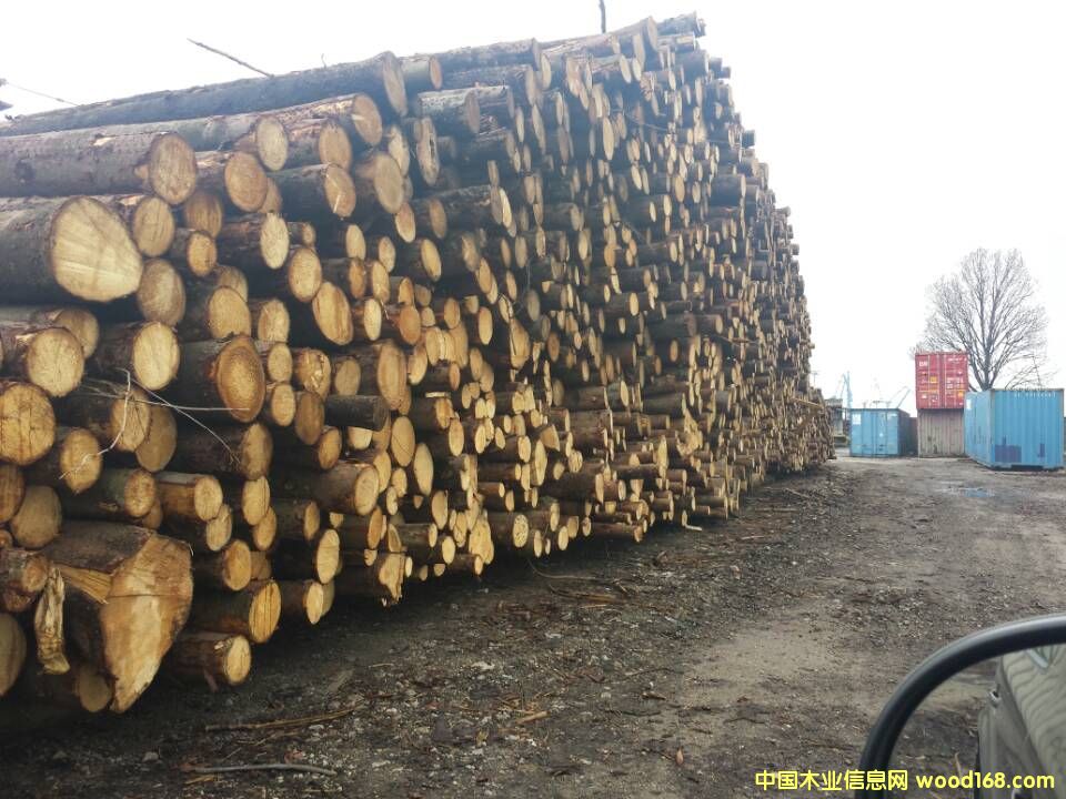 �W����ɼԭľ ֱ����20cm�����ϵ�Ԕ��(x��)��B