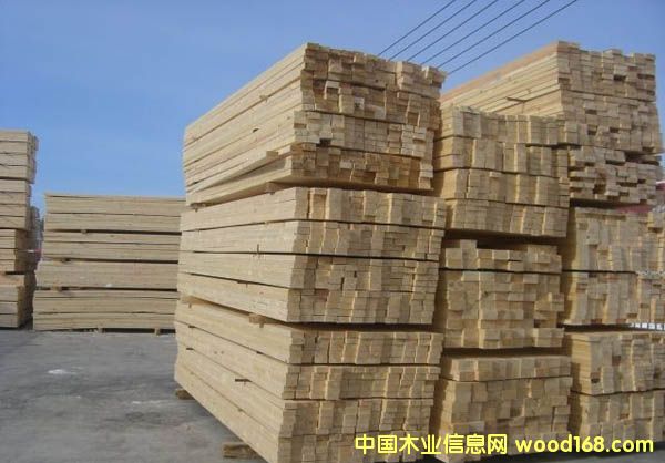 ����ľ������