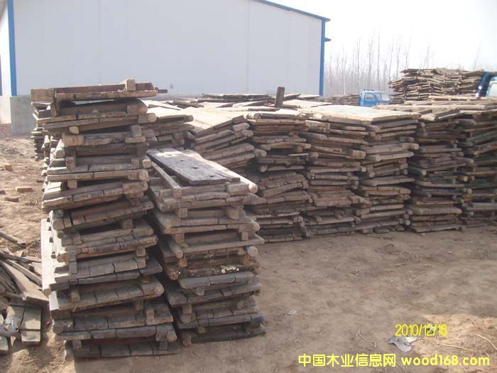 ���T���Ԕ����B