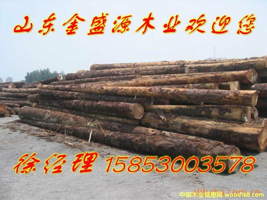 ��ľ��Ԕ����B