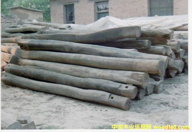 ����ľ��Ԕ����B