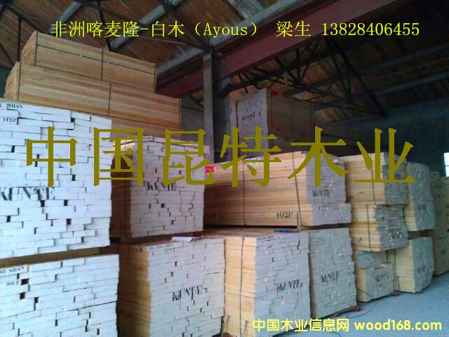 ���ް�ľ��Ayous����Ԕ��(x��)��B